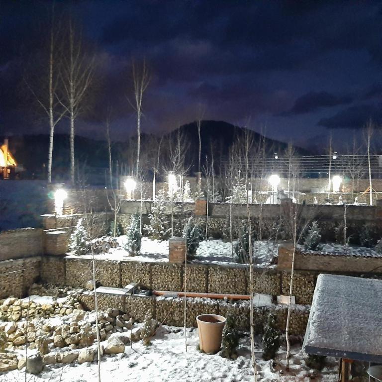 Casa Cu Mesteceni Rîşnov 외부 사진